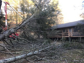 Storm Damage and Tree Removal Affordable Tree Care of Boone NC