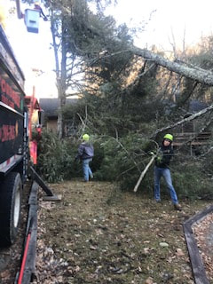 Picture fast response Storm Damage and Tree Removal Affordable Tree Care of Boone NC Blowing Rock Banner Elk Beech Mountain Linville NC