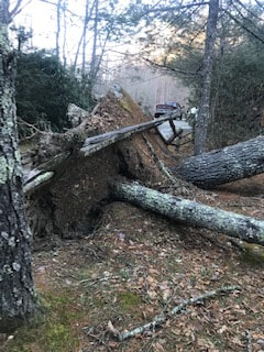 Picture Storm Damage clean up and Tree Removal Affordable Tree Care of Boone NC Blowing Rock Banner Elk Beech Mountain Linville NC