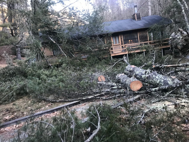 Picture 24 hour emergency Tree Removal Service Company Boone NC Blowing Rock Banner Elk
