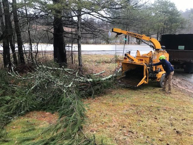 Storm Damage and Tree Removal Affordable Tree Care of Boone NC